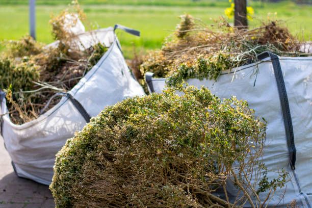 Best Full-Service Junk Removal  in Albuquerque, NM